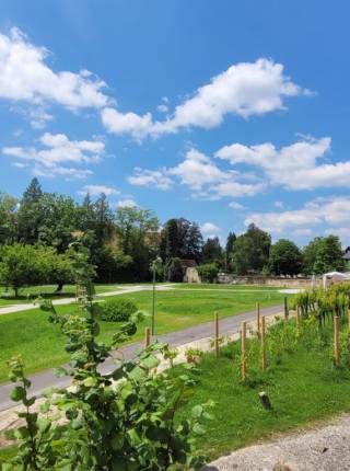 🌿 Ihr Hotel bei der Gartenausstellung INNsGRÜN 2025 in Schärding Symbolfoto