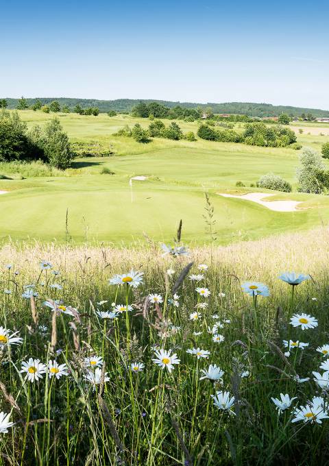 Bella Vista Golfpark