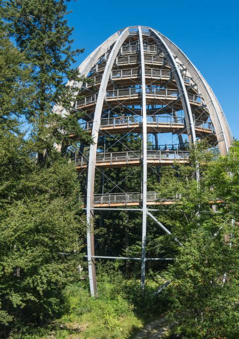 Baumwipfelpfad Neuschönau