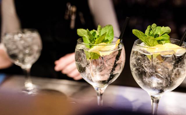 Gin Tonic mit Minze und Zitrone in stilvollem Glas