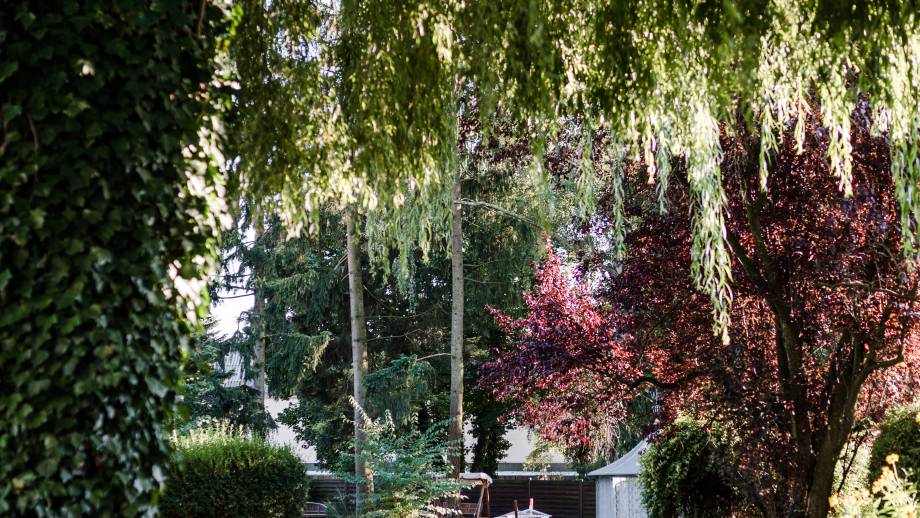 Herbstliche Fastenkuren: Heilfasten, Basenfasten und Intervallfasten im Antoniushof Symbolfoto